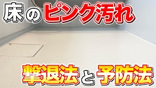 【もう悩まない】お風呂の床のピンク汚れをスッキリ落とす方法とおすすめ予防法！ [upl. by Nya176]