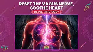 Reset The Vagus Nerve Soothe Heart  Heal Trauma Relief Stress Release Anxiety  Detox MindBody [upl. by Lacombe]