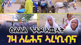 ዕልልል ንስድራ ስዉእ ገዛ ሰሪሕና ኣረኪብና ኣሎና [upl. by Kilam]