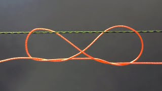 Three best knots to tie two fishing lines together [upl. by Darleen]