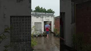 Zain Rain Blog Terrace garden Barish Rain [upl. by Sherburne]