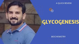 Glycogenesis Glycogen Synthesis Steps of Glycogenesis [upl. by Killie504]