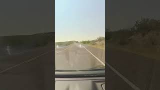 Close call with a giant buzzard driving through Big Bend TX texas crash birds nationalpark car [upl. by Edea]