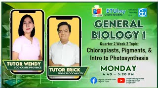 Chloroplasts Pigments and Introduction to Photosynthesis  General Biology 1  Quarter 24 Week2 [upl. by Moseley236]