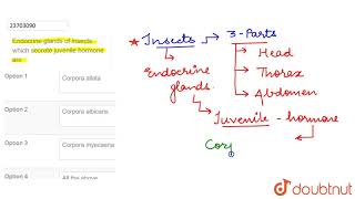 Endocrine glands of insects which secrete juvenile hormone are [upl. by Niar151]