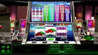 Hoyle Casino 2010 Gameplay Slot machine [upl. by Zalucki224]