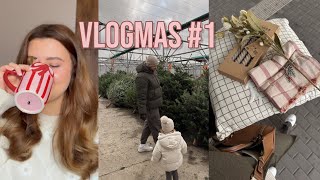 VLOGMAS 1  Stromeček amp vytváření adventního kalendáře [upl. by Airakaz]