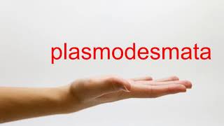 How to Pronounce plasmodesmata  American English [upl. by Akemat]