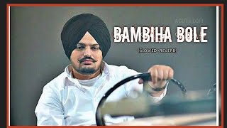 BAMBIHA BOLE  slowedreverb  Sidhu Moose Wala Song [upl. by Ardnaxela]