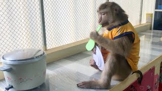 Smart Jason Meekly Diligent Prepare Plate Wait Mom To Have Rice [upl. by Fanny]