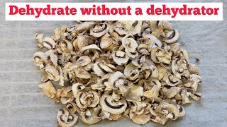 EPIC FAIL DEHYDRATE MUSHROOMS WITHOUT A DEHYDRATOR [upl. by Anyt82]