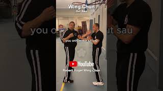 Wing Chun Jut Sau  Robert Vogel ipman wingchun [upl. by Enitsuga]