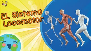 Sistema Locomotor Videos Educativos para Niños [upl. by Odinevneib]