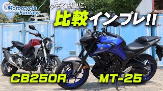 MT25とCB250Rを簡単に比較インプレッション！ Motorcycle Fantasy [upl. by Aicilat]