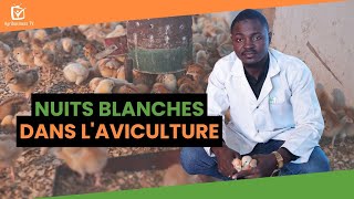 Burkina Faso  Nuits blanches dans laviculture [upl. by Holder214]