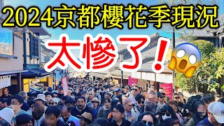 【日本旅遊】旅遊體驗太悲慘了！2024年京都櫻花季现况🌸京都賞櫻名所・日本櫻花季・京都自由行攻略・京都旅遊・京都美食・日本自由行・清水寺・花見小路・八阪神社・祇園白川・京都站・Japan Kyoto [upl. by Malka]