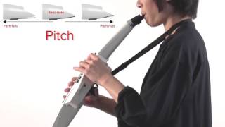 Embouchure Holding the Mouthpiece Roland Aerophone AE10 02 [upl. by Yeknarf905]