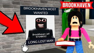 100 SECRETS in Roblox Brookhaven [upl. by Paehpos]