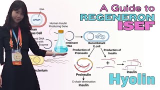 An Overview of Regeneron ISEF 2024 — Hyolin [upl. by Mansoor]