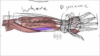 Wrist Tendonitis Symptoms Basics  What Actually Causes Them [upl. by Ly498]