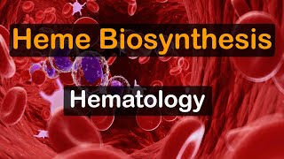 Heme Biosynthesis [upl. by Hcurab948]