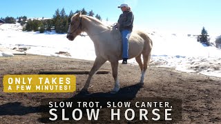 HOW TO GET A FAST HORSE TO TROT AND CANTER SLOW [upl. by Norved]