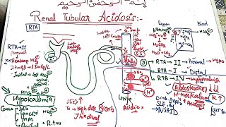 Nephrology medicine lecture 9 🛑 Renal tubular acidosis RTA 1 2 4 nephrology medicine mbbs [upl. by Coppock]