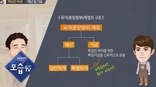 기획재정부 모습TV 예산의 이해 2편 예산 및 기금 [upl. by Aihsekin]