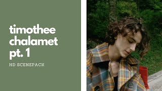 timothee chalamet hd scenepack pt 1 [upl. by Eener]