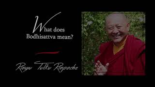 33 What does Bodhisattva mean  Answers for Beginners  Ringu Tulku Rinpoche [upl. by Ansela]