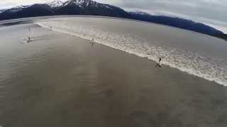 Alaska bore tide surfing [upl. by Kinimod985]