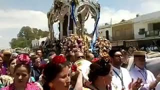 Ambiente rociero Romeria del rocio 18 [upl. by Alleber361]