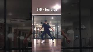 Sf9  Teardrop cover by Deka sf9 teardrop kpop dance [upl. by Drais652]