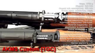 TGC Customs by Taiwangun  Airsoft Replica Presentation [upl. by Toddy]