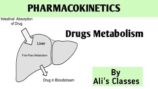 Drugs Metabolism  Pharmacokinetics metabolism pharmacokinetics alisclasses9000 [upl. by Dixil]