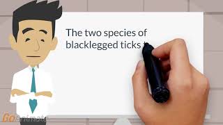 black legged ticks carrying Lyme disease [upl. by Ymmak922]