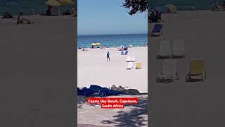 Camps Bay Beach Capetown  South Africa  Pradeep Royal shorts capetown beach indiashorts [upl. by Goldberg]