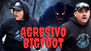 AGRESIVO BIGFOOT [upl. by Daniyal]