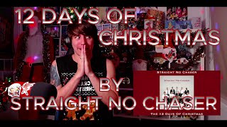 MUSICAL WHIPLASH Blind reaction to Straight No Chaser – 12 Days Of Christmas [upl. by Salocin]