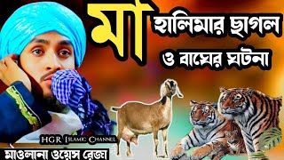 মা হালিমার ছাগল ও বাঘের ঘটনা। ওয়েস রেজা কাদরী। Maa Halimar ghotona । নবীজির ঘটনা [upl. by Ysus]