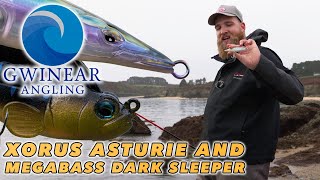 How to Fish the Asturie and Dark Sleeper with Ultimate Fishings Sietze Hendriks  Bass Lure Fishing [upl. by Ylac]