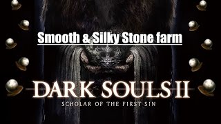 Dark Souls II SOTFS  Smooth amp Silky Stone farm [upl. by Akirrehs]