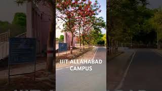 IIIT ALLAHABAD PMC  iiit iiitianshiva gate2024 iiita [upl. by Amolap317]