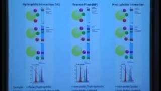 Chromatography of Carbohydrates [upl. by Amend]