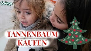 Tannenbaum kaufen groß oder klein 🎄  Vlog648  Rosislife [upl. by Nicolea]