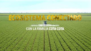 Trailer Ecosistema Conectado [upl. by Edmonda]