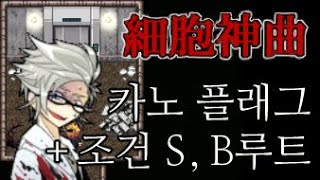 세포신곡 카노 플래그 조건 S루트 B루트 Cell of Empireo Kano Flag S B [upl. by Euqinorev]