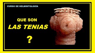 Todo sobre la TENIASIS  Curso de Helmintología [upl. by Acisse888]