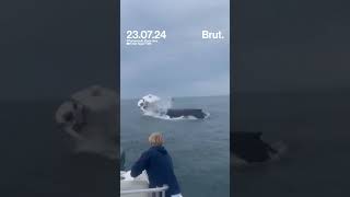 Une baleine sécrase sur un bateau de pêche [upl. by Alamak]