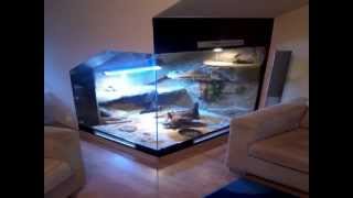 Budowa terrarium  Agama Brodata  Bearded Dragon tank [upl. by Petie]